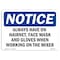 Signmission OSHA, Always Have On Hairnet Face Mask & Gloves, 14in X 10in Rigid Plastic, 14" W, 10" H, Landscape OS-NS-P-1014-L-10139 - alternate 1
